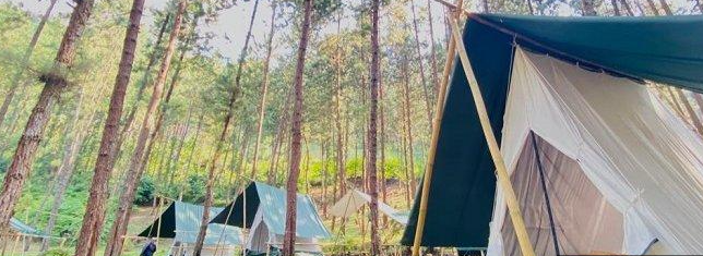 Ada Hidden Gem di Tegal Bernama Rumah Angsa Glamping, Suguhkan Suasana Tenang dan Pemandangan Indah