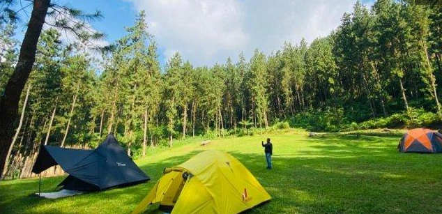 Rumah Angsa Glamping, Tempat Camping Baru di Dekat Wisata Guci Tegal