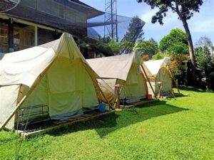 Glamping Bogor Murah Dan Bagus