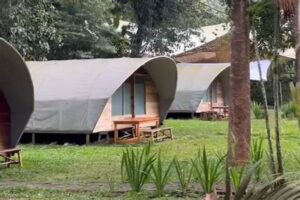 Glamping Lembah Purba