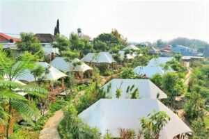 Oak Tree Glamping Resort