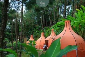 Tempat Glamping Lembang
