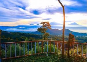Trianggulasi Glamping