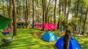 12 Tempat Glamping Di Bogor