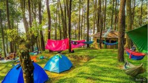 Tempat Glamping Terdekat
