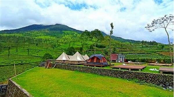 Sensasi Camping Di Kebun Teh: Glamping Yang Tawarkan Pemandangan Hamparan Hijau Tak Berujung!